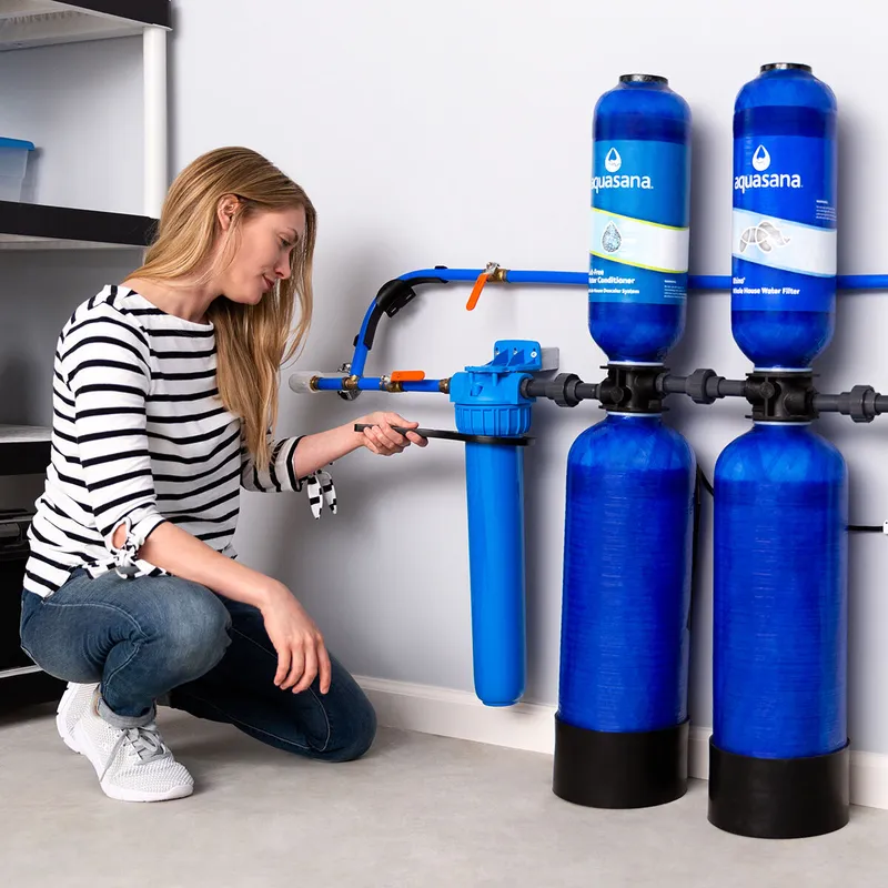 Whole house filtration system