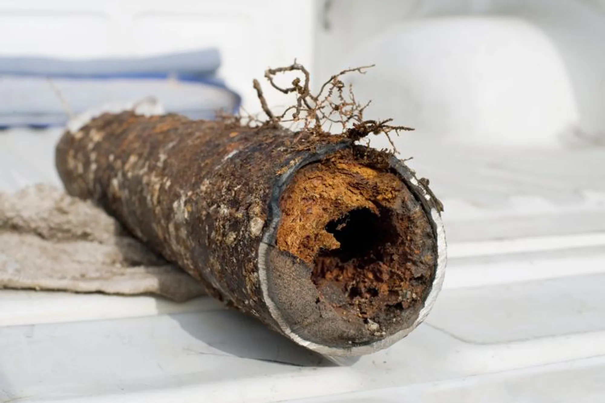 When to Replace Drain and Sewer Lines